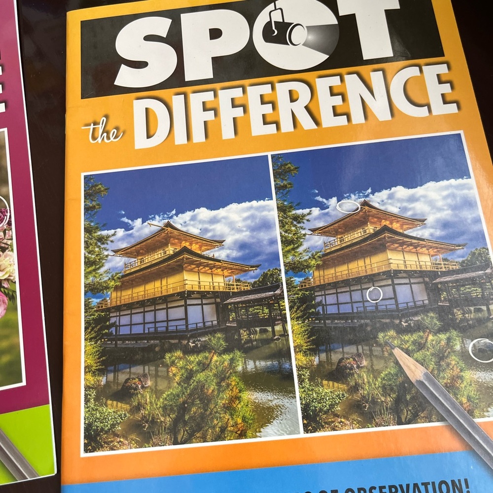 I SPY A to Z Picture Riddles & Spot the Difference Activity Books - Multi-Color - Picture 3 of 4